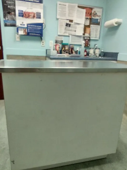 Gentle Care Animal Hospital Picture 5