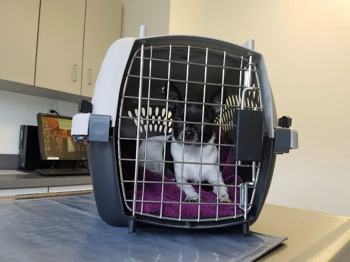 Lake Forest Animal Hospital: Holley Angela E DVM Picture 1