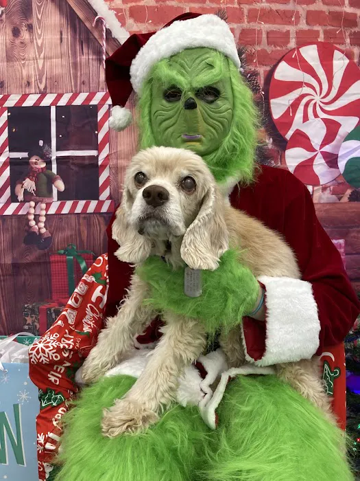 Lake Forest Animal Hospital Picture 1