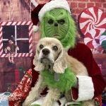 Lake Forest Animal Hospital
