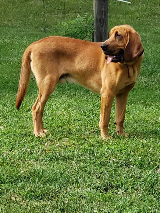 Timberlake Animal Hospital Picture 5