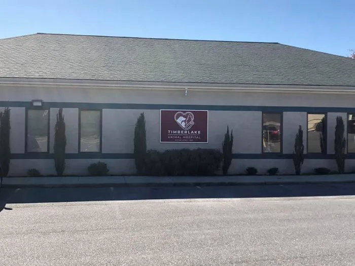 Timberlake Animal Hospital Picture 7