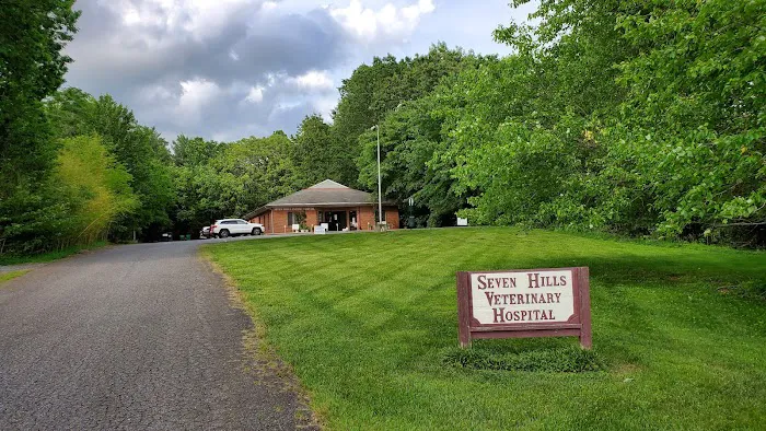 Seven Hills Pet Wellness Center & Preventive Care Picture 5
