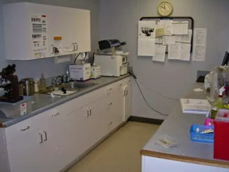 Seven Hills Pet Wellness Center & Preventive Care Picture 3