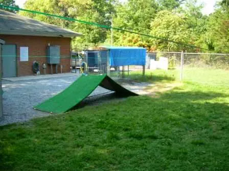 Seven Hills Pet Wellness Center & Preventive Care Picture 8