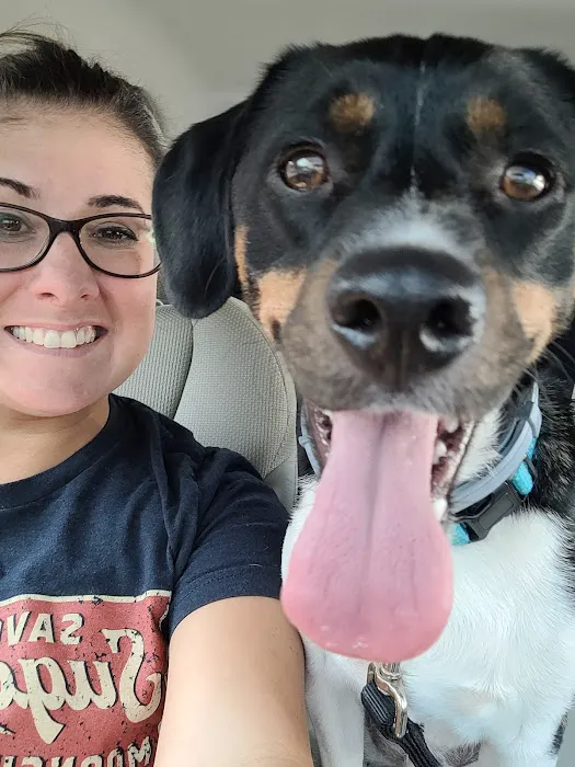 Seven Hills Pet Wellness Center & Preventive Care Picture 6