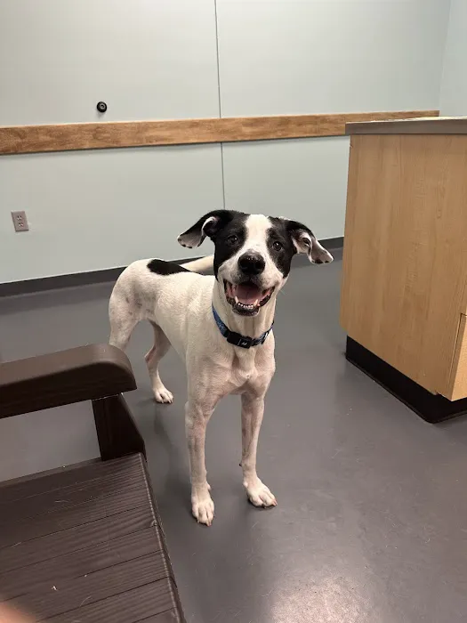 Mill Creek Veterinary Clinic Picture 4