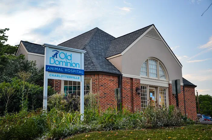 Old Dominion Animal Hospital Charlottesville Picture 1