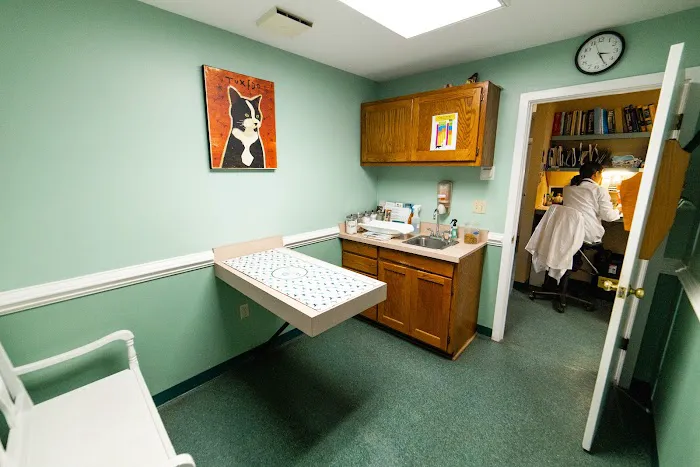 Old Dominion Animal Hospital Charlottesville Picture 7