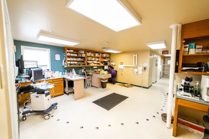 Old Dominion Animal Hospital Charlottesville Picture 4