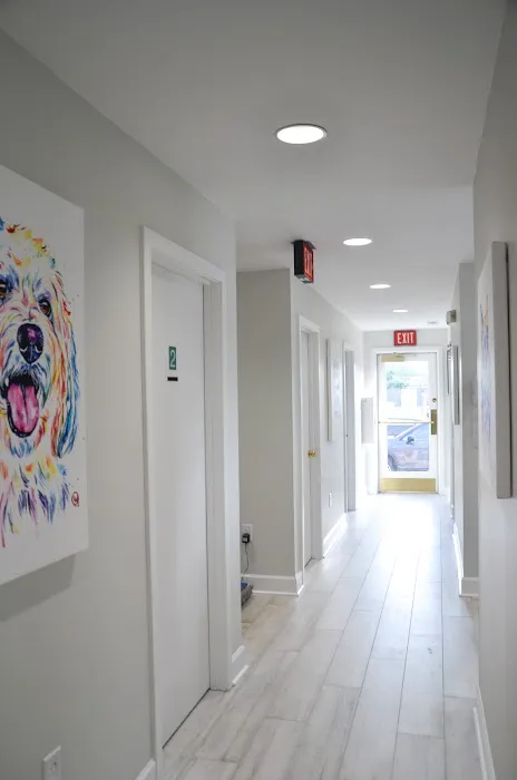 Old Dominion Animal Hospital Charlottesville Picture 9