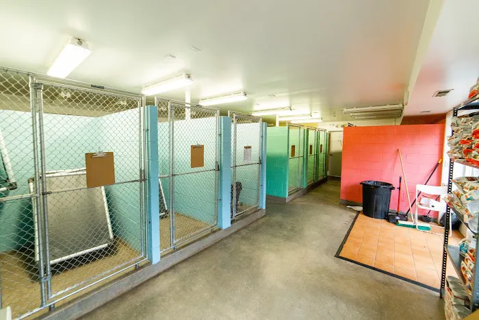 Old Dominion Animal Hospital Charlottesville Picture 10