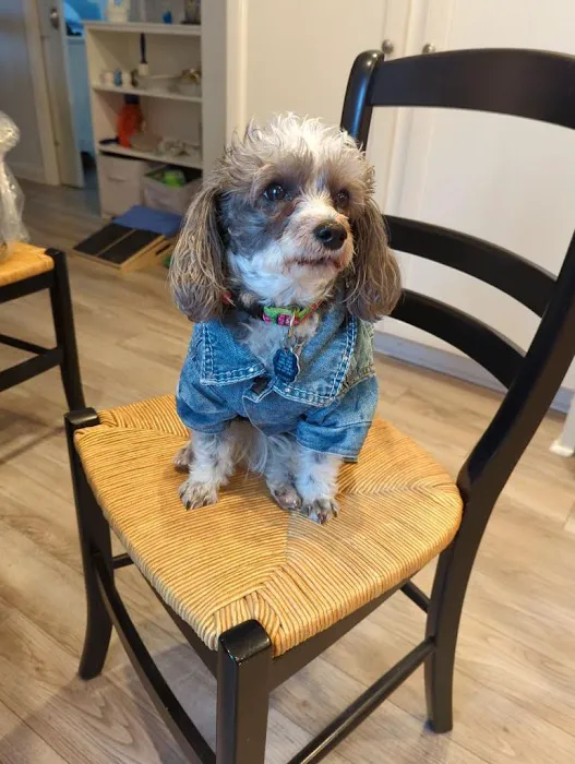 Wag Veterinary Picture 1