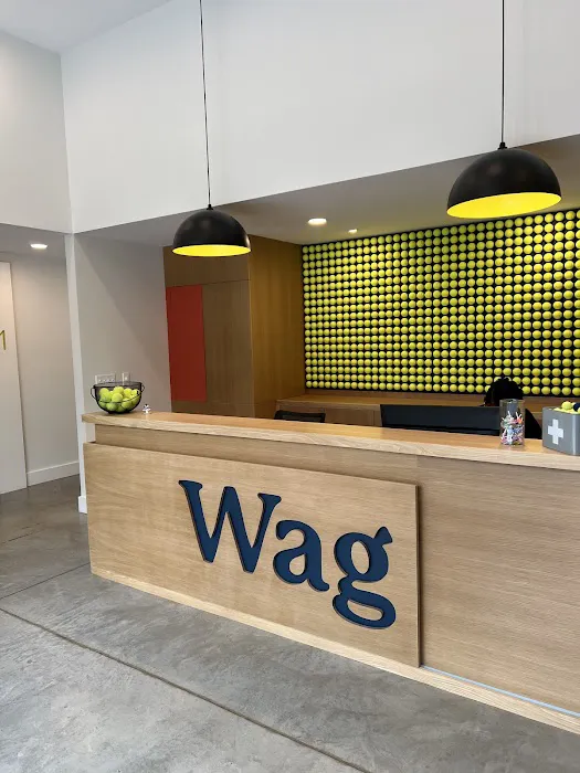 Wag Veterinary Picture 4