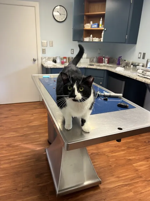 Georgetown Veterinary Hospital Picture 6