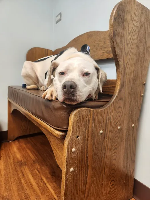 Georgetown Veterinary Hospital Picture 7