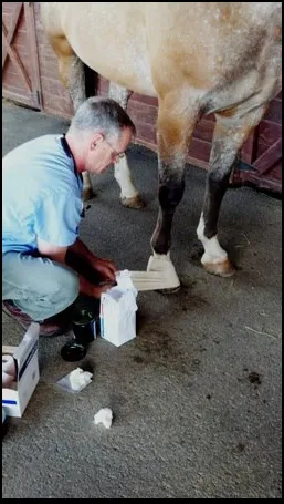 James River Equine Services - 1719 Yorktown DR Charlottesville Picture 1