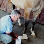 James River Equine Services - 1719 Yorktown DR Charlottesville