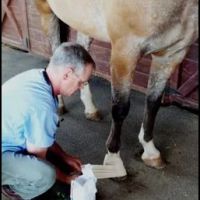 James River Equine Services - 1719 Yorktown DR Charlottesville ico