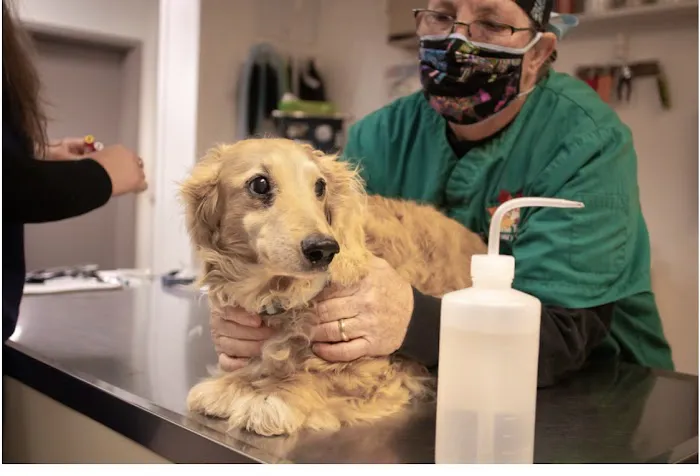 Autumn Trails Veterinary Center Picture 6