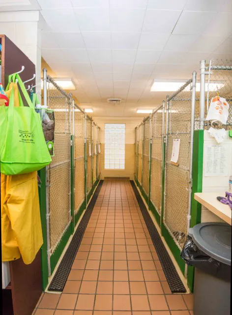 Autumn Trails Veterinary Center Picture 4
