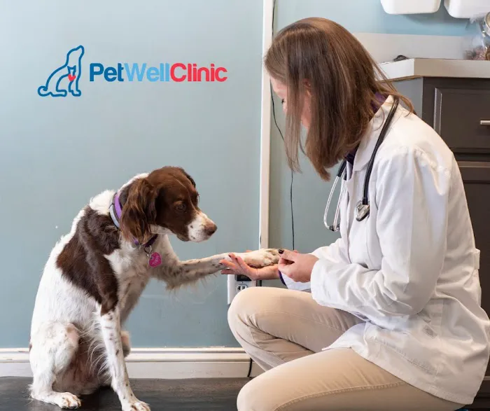 PetWellClinic - Leetsdale Picture 9