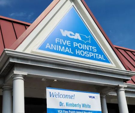 Five Points Veterinary Clinic: Schulz James DVM