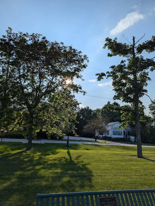 Village Green Veterinary Service Inc Picture 8