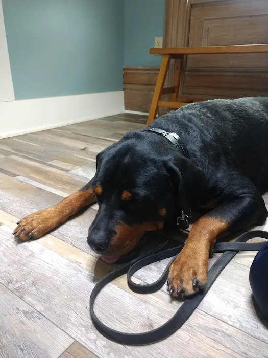 Village Green Veterinary Service Inc Picture 3