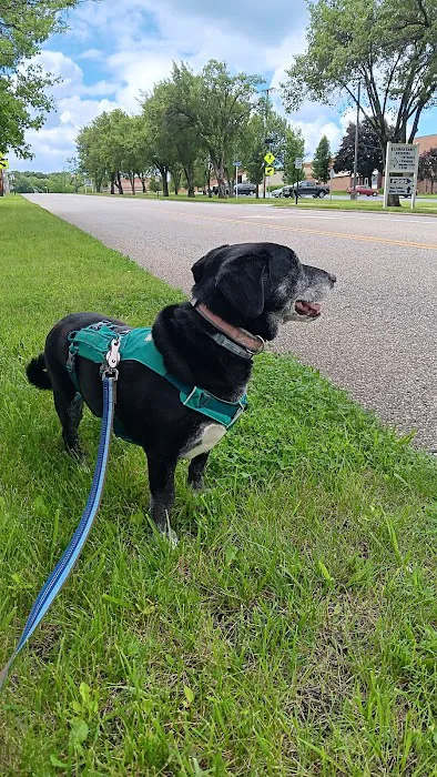 Animal Wellness and Healing Center Picture 1