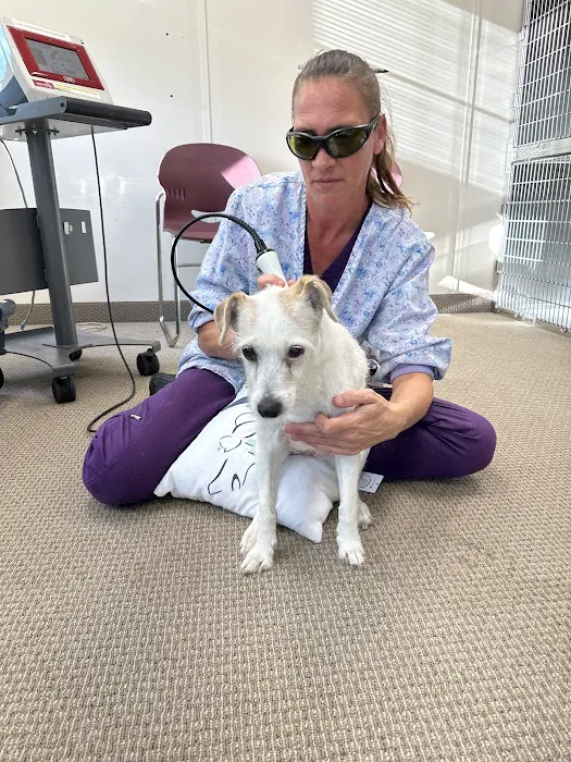 Animal Wellness and Healing Center Picture 9