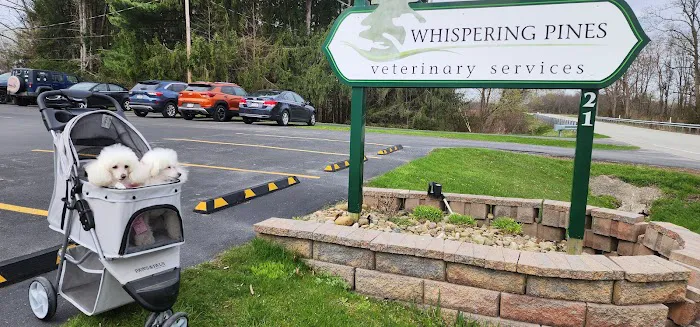 Whispering Pines Veterinary Services - Greenville Picture 3