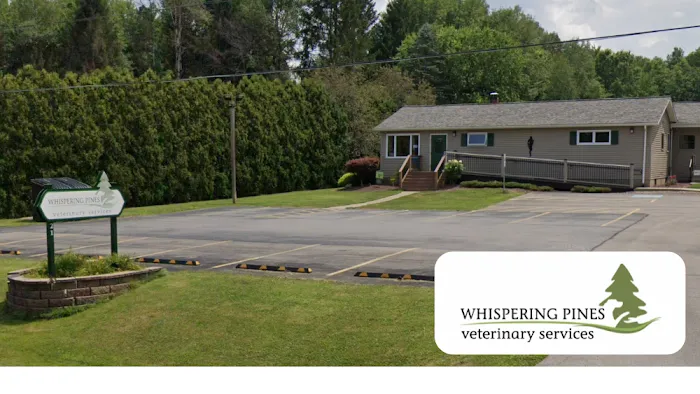 Whispering Pines Veterinary Services - Greenville Picture 10