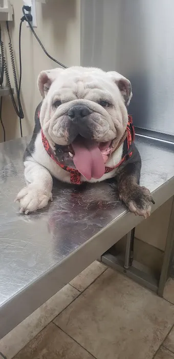 Liberty Veterinary Hospital- Parks Troy J DVM Picture 3