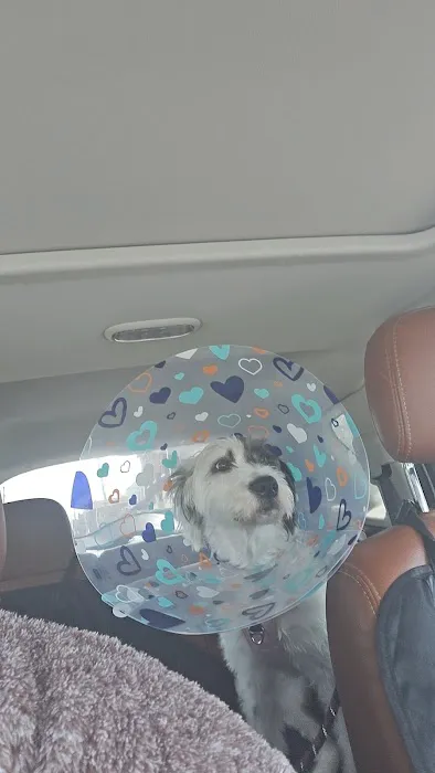 Steel Valley Spay Neuter Clinic Picture 5
