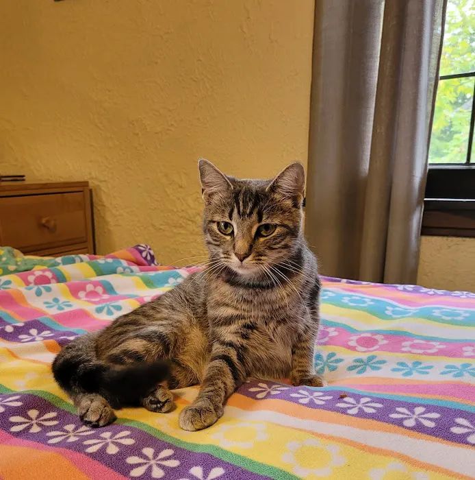 Steel Valley Spay Neuter Clinic Picture 2