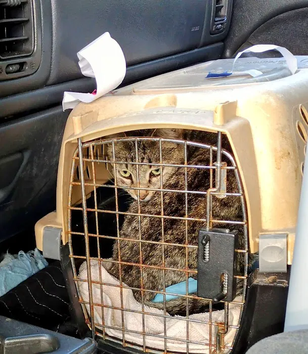 Steel Valley Spay Neuter Clinic Picture 7