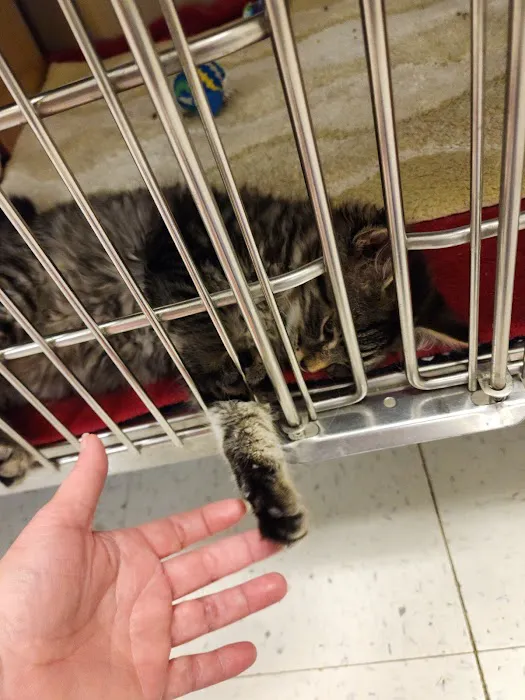 Banfield Pet Hospital Picture 5