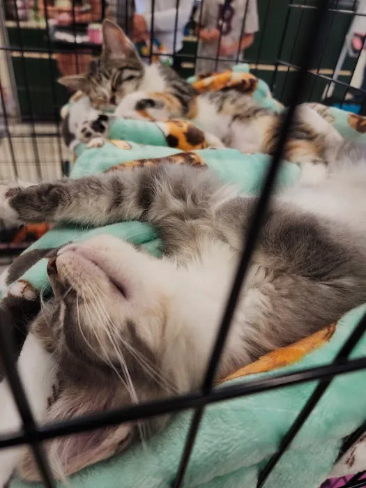 Banfield Pet Hospital Picture 8