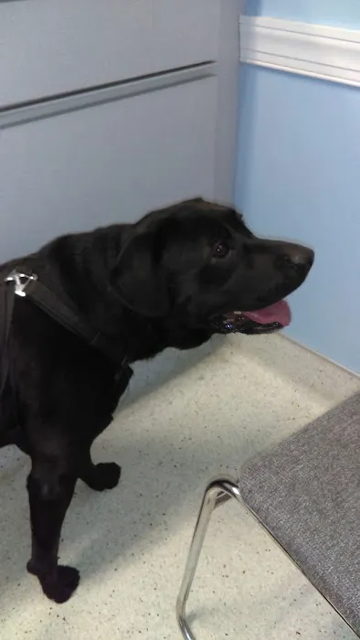 Brodhead Animal Hospital Picture 1
