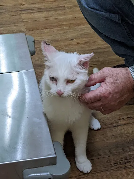 Animal Hospital of Meadville Picture 4
