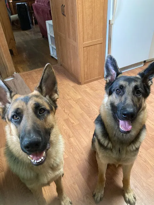 Conneaut Lake Veterinary Hospital Picture 2