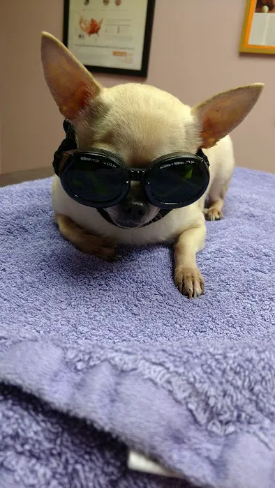 Conneaut Lake Veterinary Hospital Picture 1