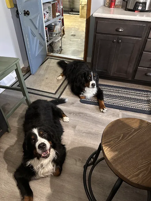 Conneaut Lake Veterinary Hospital Picture 3