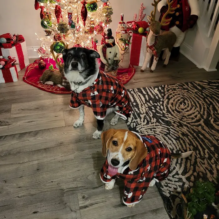 Conneaut Lake Veterinary Hospital Picture 6