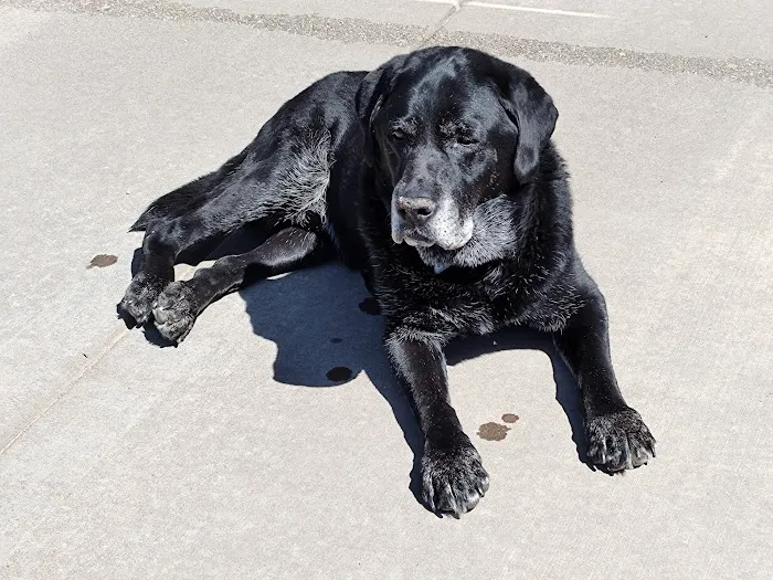 Conneaut Lake Veterinary Hospital Picture 7