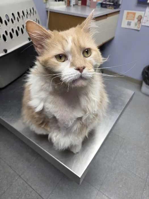 Conneaut Lake Veterinary Hospital Picture 9