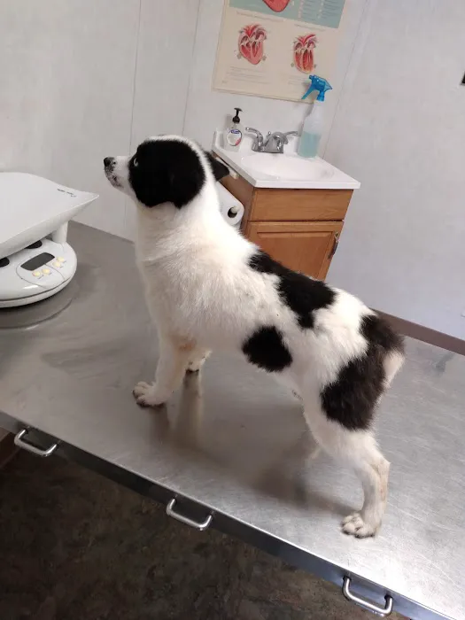 Woodcock Animal Clinic Picture 9