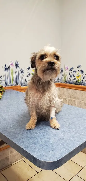 Greenville Veterinary Clinic Picture 1
