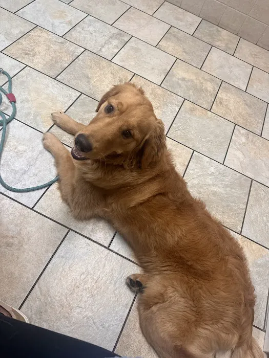 Greenville Veterinary Clinic Picture 5
